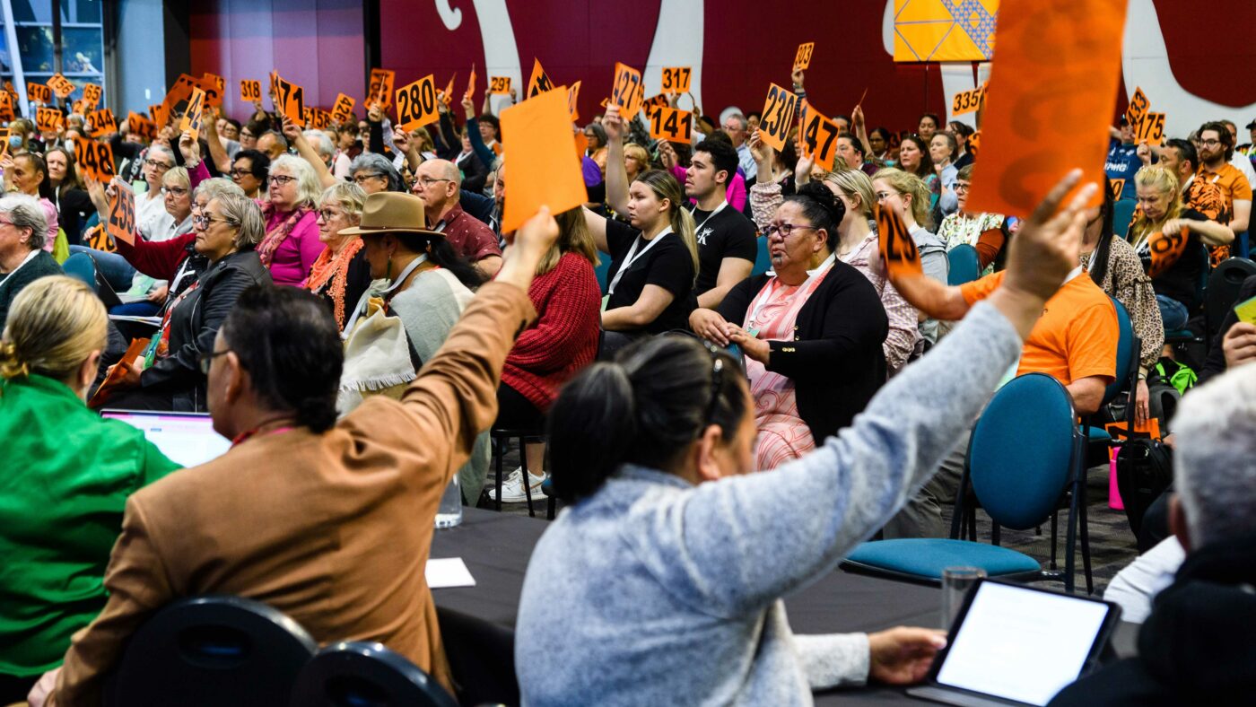 Members voting on resolutions at Hui-ā-tau 2022.
